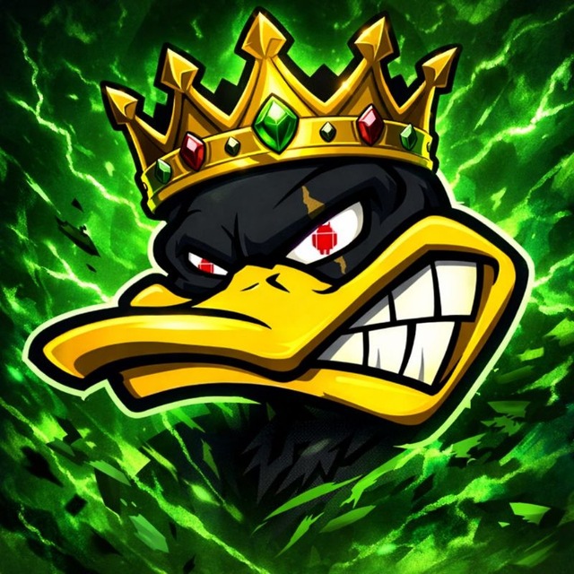 PATO TEAM 